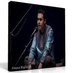 خانه‌ی غریب – کنسرت تصویری وحید تاج و پویان بیگلر در تالار وحدت – تیر ماه ۱۳۹۱