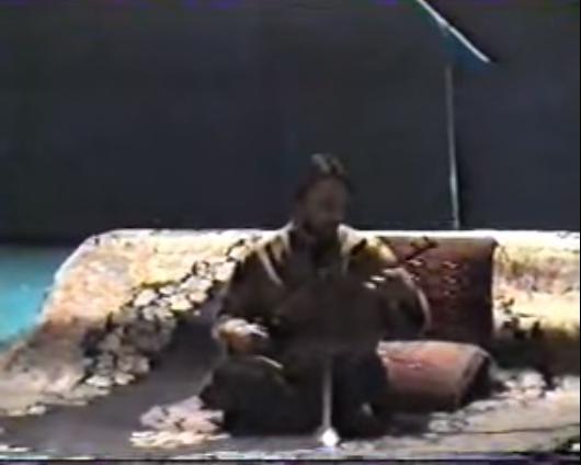سه‌تار نوازی حسین علیزاده در سه‌گاه - کنسرت تصویری